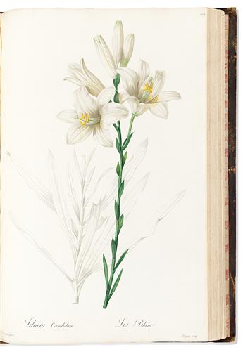 (BOTANICAL.) Pierre-Joseph Redouté. Les Liliacées (volumes 3 and 4).